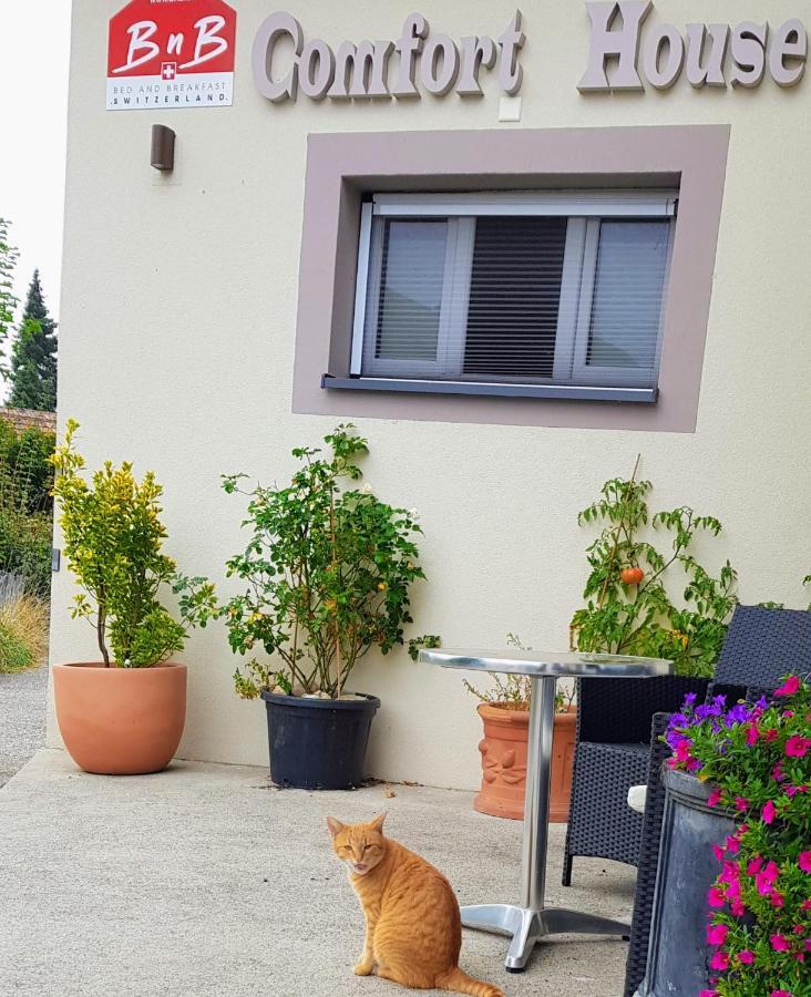 Bnb Comfort Guesthouse Olten - Lostorf Bagian luar foto