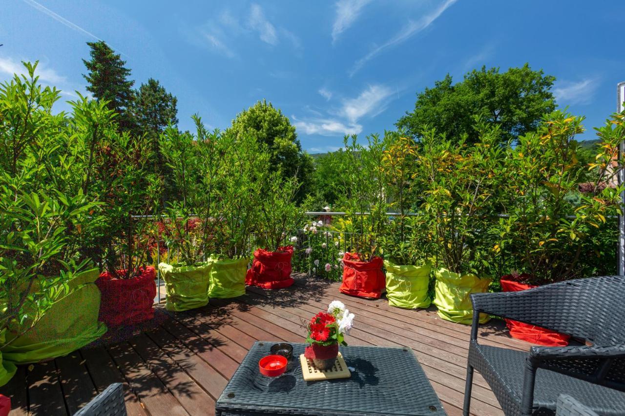 Bnb Comfort Guesthouse Olten - Lostorf Bagian luar foto