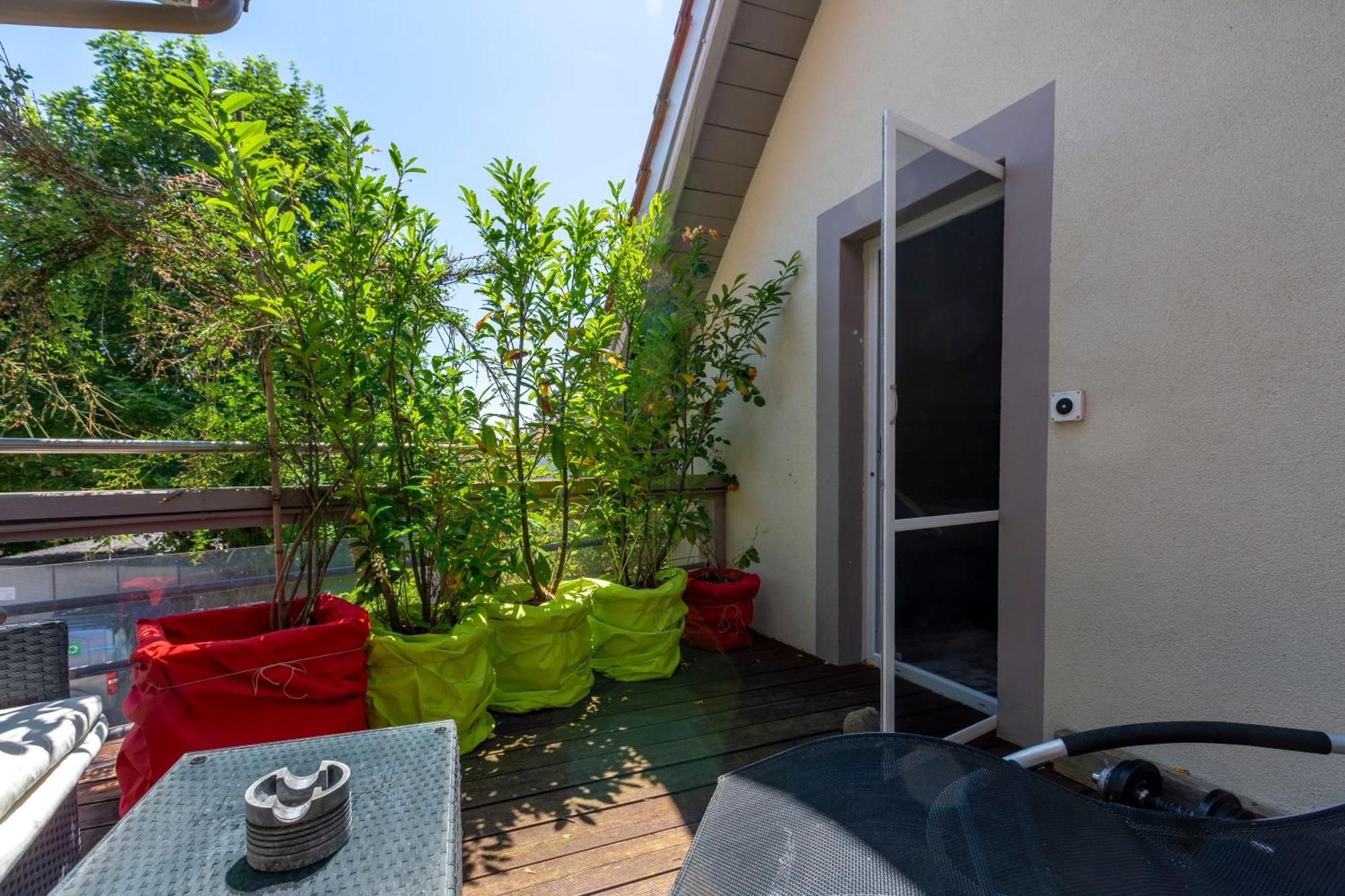 Bnb Comfort Guesthouse Olten - Lostorf Bagian luar foto