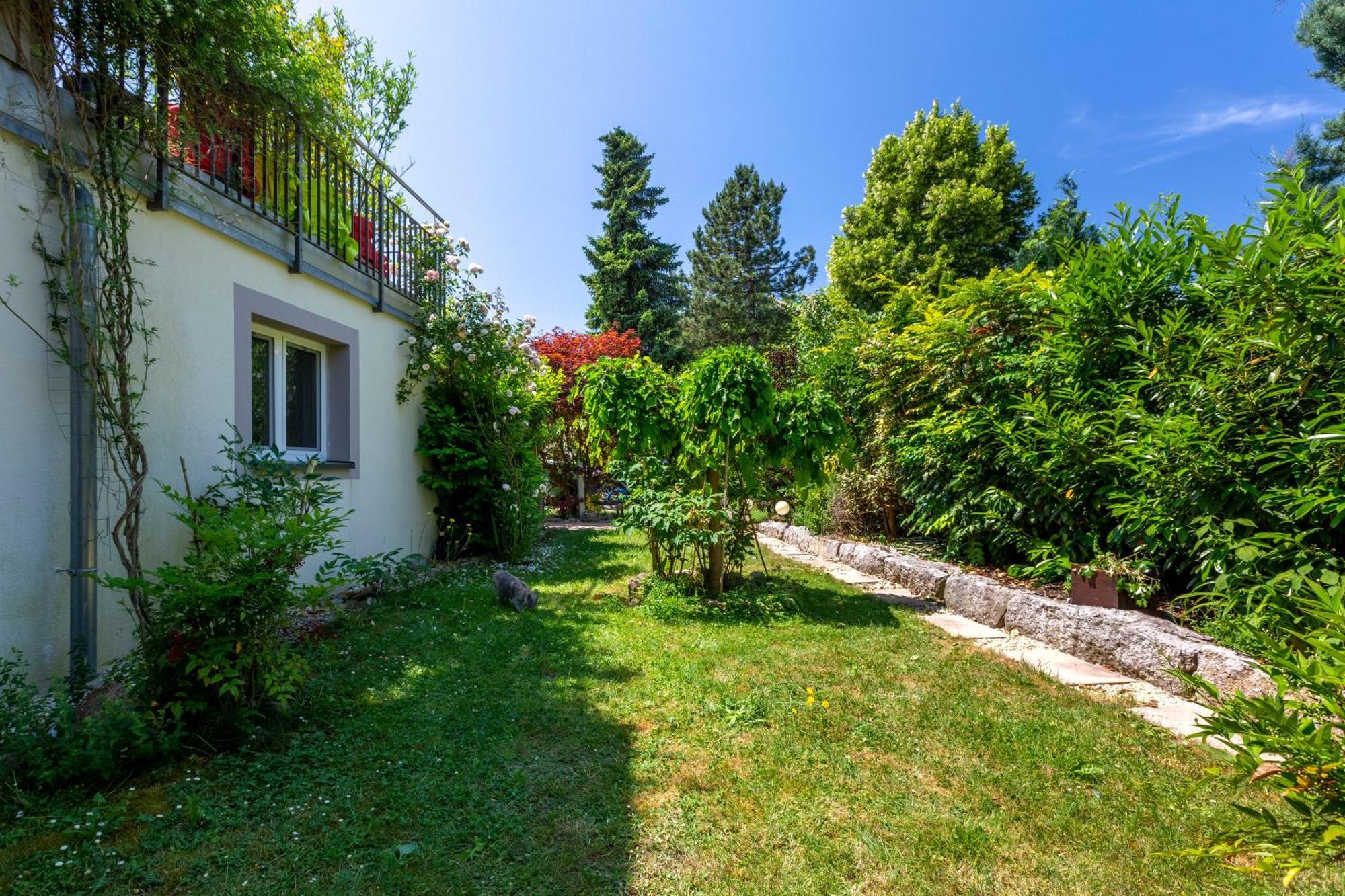 Bnb Comfort Guesthouse Olten - Lostorf Bagian luar foto